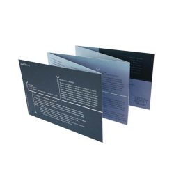 Accordion Flyer Printing Accordion Flyer Printing