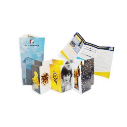 Bifold Flyer Printing Bifold Flyer Printing