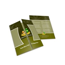 Gatefold Flyer Printing Gatefold Flyer Printing