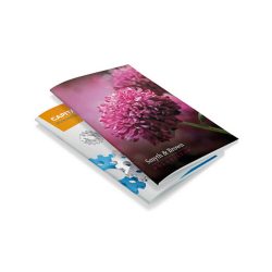 Product Brochure Printing Product Brochure Printing
