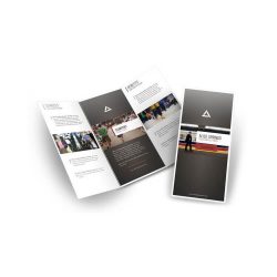 Trifold Flyer Printing