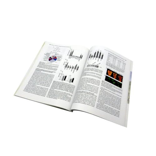 High quality factory custom made adult magazine printing - Image 3