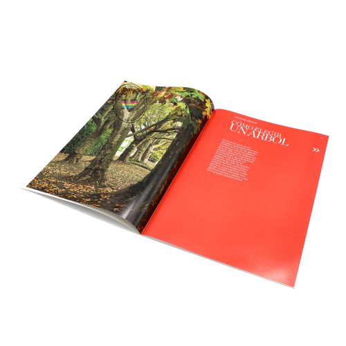 Custom printed OEM design CMYK softcover book product a4 brochure cheap monthly magazine printing - Image 3