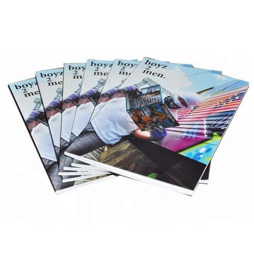 Custom softcover manga adult comic book printing - Image 6